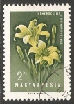 Stamps : Europe : Hungary :   Hemerocallis lilioasphodelus