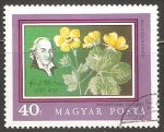 Stamps Hungary -   fresa estéril de flor geum-como 