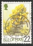 Stamps Europe - Isle of Man -  Flores