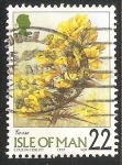 Stamps Europe - Isle of Man -  Flores