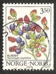 Stamps Norway -  arándano