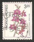 Stamps Norway -  Orquídea terrestre
