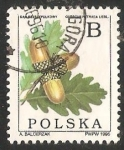 Stamps : Europe : Poland :  Encina