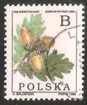 Stamps Poland -  Encina