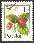 Stamps Poland -  frutas del bosque
