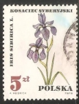 Stamps Poland -  Iris sibirica, planta médica