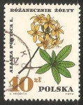 Sellos de Europa - Polonia -  Azalea pontica