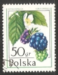 Stamps Poland -  árbol de Jesé 