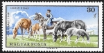 Sellos de Europa - Hungr�a -  1975 - Caballos en Puszta