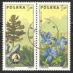 Stamps Poland -  Tatra Presidencia y genciana de primavera