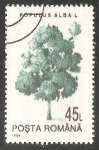 Stamps Poland -  Alamo blanco