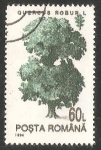Stamps Romania -  Roble comun