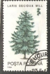 Stamps Romania -  Alerce europeo 