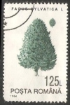 Stamps Romania -  Larix decidua, el alerce europeo o lárice es una especie del género Larix, de la familia de las piná