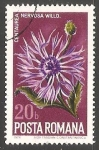 Sellos de Europa - Rumania -  Nervosa Centaurea