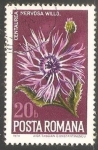Stamps Romania -  Pícea europea, 