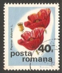 Stamps Romania -  Amapola