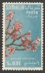 Stamps : Africa : Somalia :  Rosa del desierto