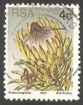 Stamps South Africa -  Protea longifolia 