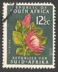 Stamps South Africa -  Protea