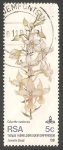Stamps South Africa -  Orquidea