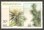 Stamps Rwanda -  Tronco del Brasil.