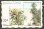 Stamps Rwanda -  Tronco del Brasil.