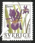 Sellos de Europa - Suecia -  Iris sibirica