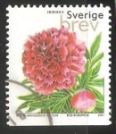 Stamps Sweden -  Peonía campesina Red