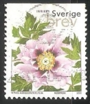 Stamps Sweden -  Peonía Árbol