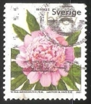 Stamps Sweden -  Olor Peonía