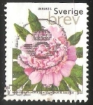 Stamps : Europe : Sweden :  Olor Peonía