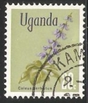 Sellos de Africa - Uganda -  Coleus barbatus