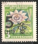 Stamps Uruguay -  Pasionaria