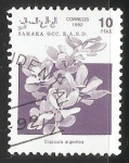 Stamps : Africa : Morocco :  Crassula argentea