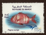Stamps Morocco -  Pez  (Pagnus  Auriga)