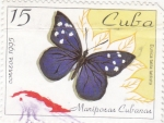 Stamps Cuba -  MARIPOSAS CUBANAS