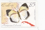 Stamps Cuba -  MARIPOSAS CUBANAS