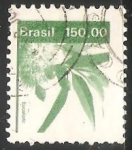 Stamps Brazil -  Eucalipto