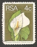 Stamps South Africa -  cala