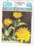 Stamps Cuba -  PLANTAS MEDICINALES-MARAVILLA