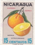 Stamps Nicaragua -  CITRICOS-NARANJA