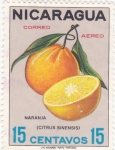Sellos de America - Nicaragua -  CITRICOS-NARANJA