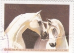 Stamps Cuba -  CABALLOS BLANCOS