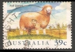 Sellos de Oceania - Australia -  Poll dorset-ovejas