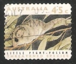 Stamps Australia -  Little pygmy possum-pósum pigmeo