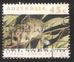 Stamps Australia -  Little pygmy possum-pósum pigmeo