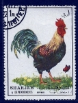 Stamps United Arab Emirates -  Gallo