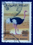 Stamps Morocco -  AVESTRUS