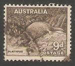 Stamps Australia -  Platypus-ornitorrinco 